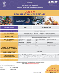 MSME Udyam Registration Certificate